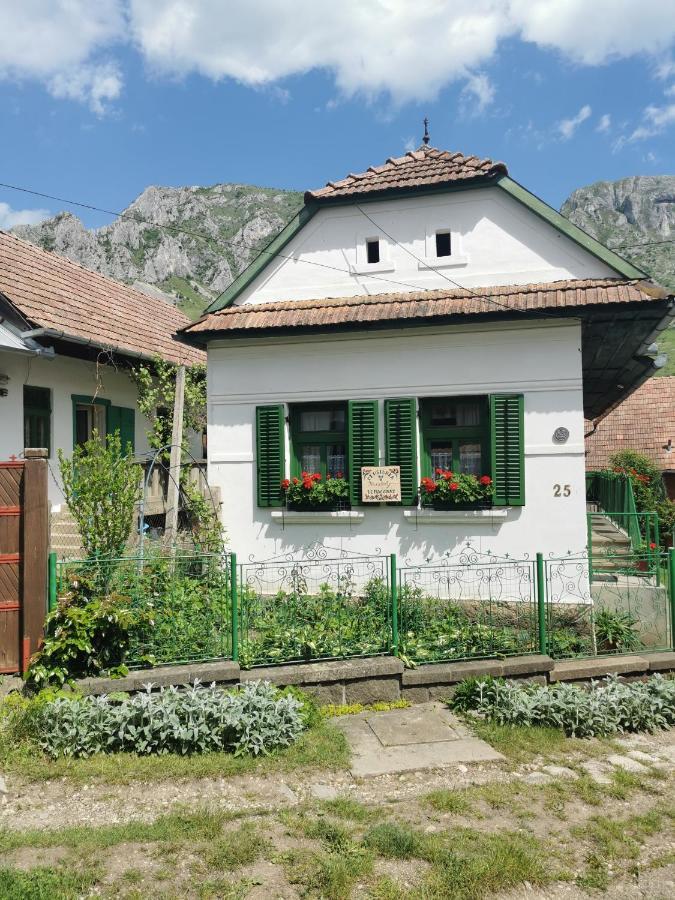 Kristaly Vendeghaz Hotel Rimetea Exterior photo